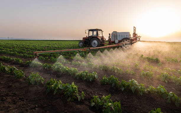 Best Mosquito Control Services  in Sherrelwood, CO