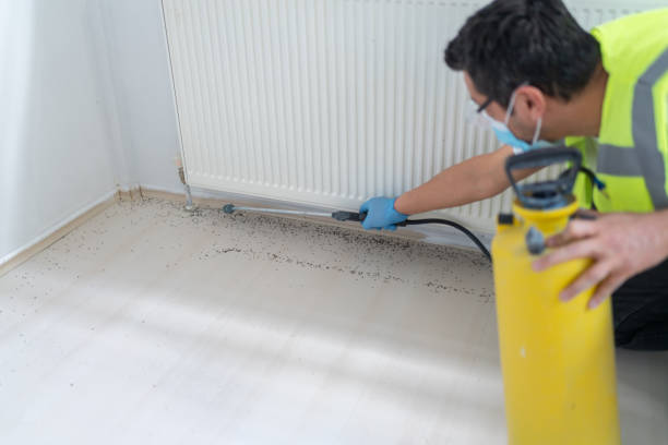Best Termite Control Services  in Sherrelwood, CO