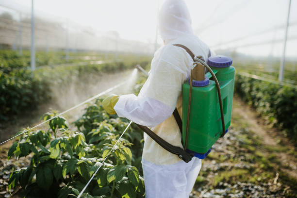 Best Pest Removal Services  in Sherrelwood, CO